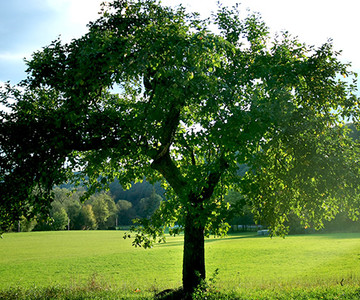 Paul & Co Gestion de l’environnement