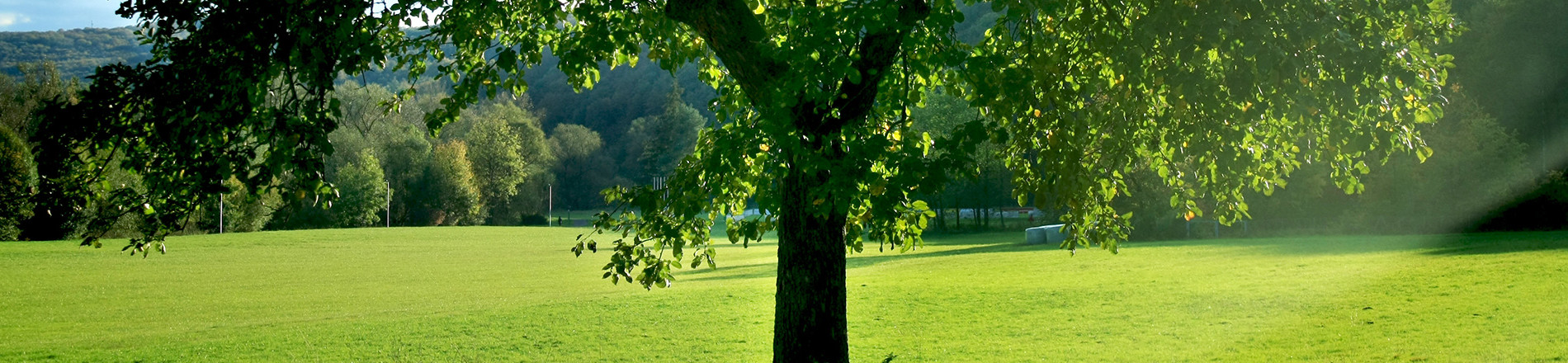 Gestion de l’environnement