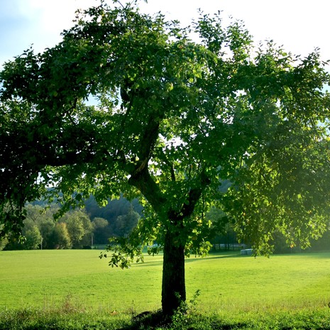 Zarządzanie ochroną środowiska